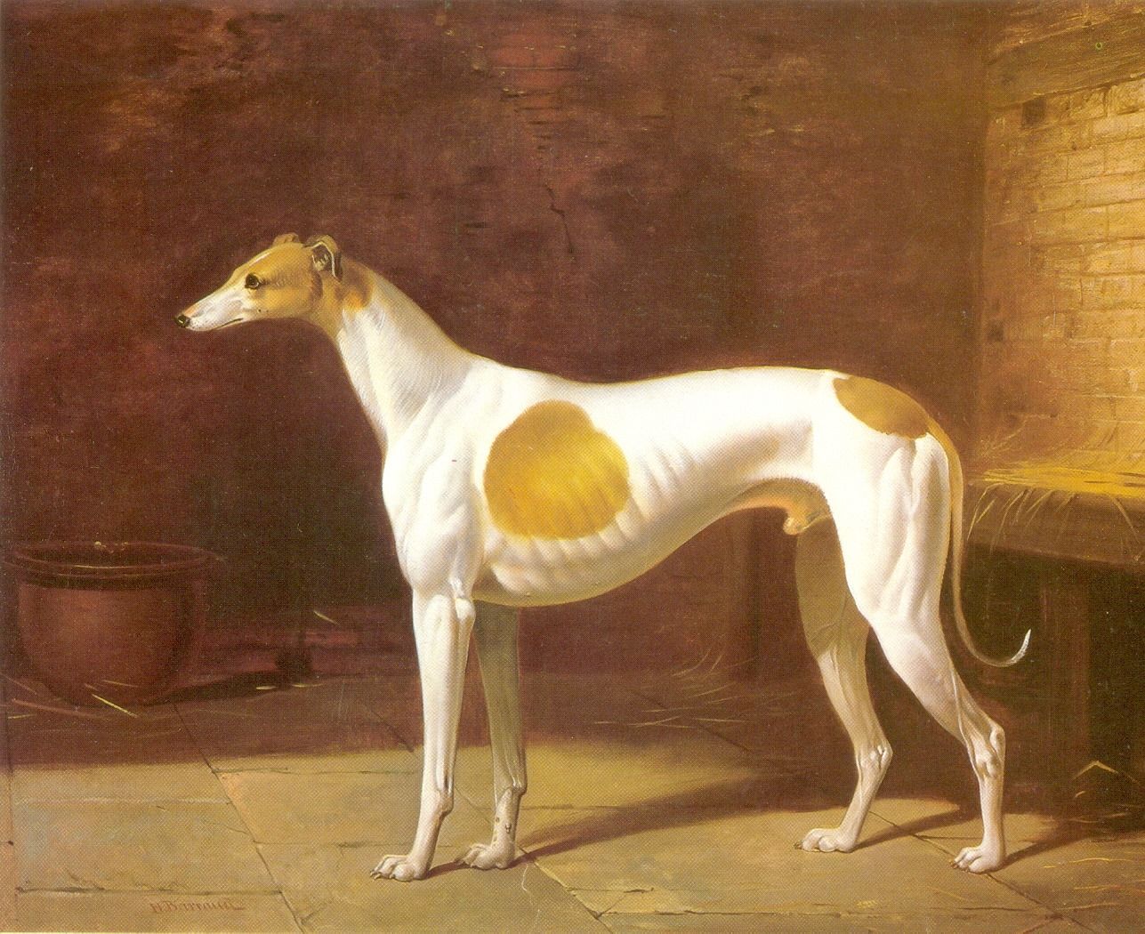 The Sporting Greyhound